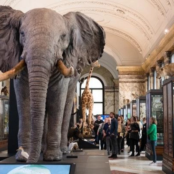 AfricaMuseum